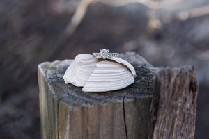 engagement ring with shells