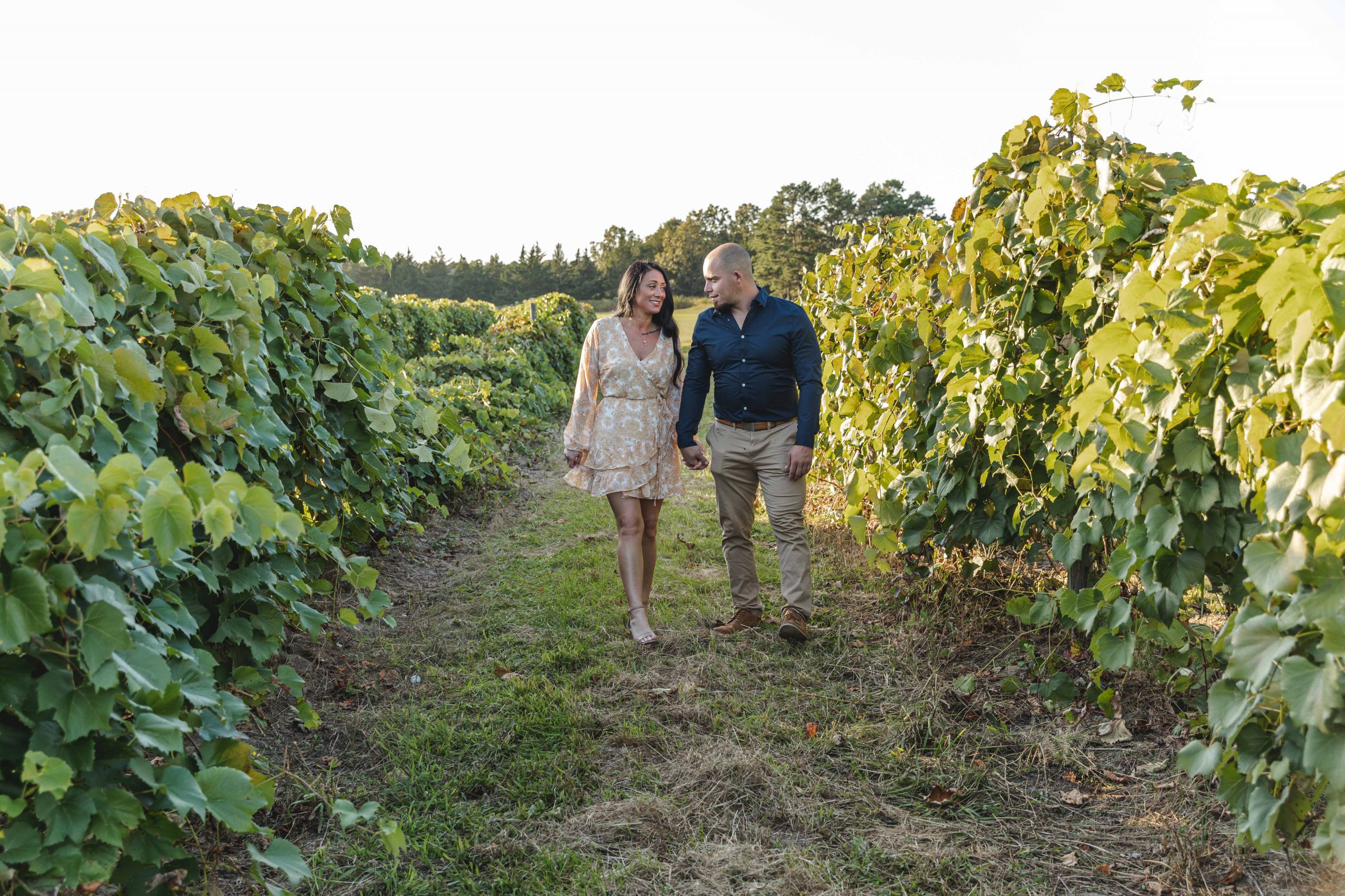 Renault Winery Engagement Session