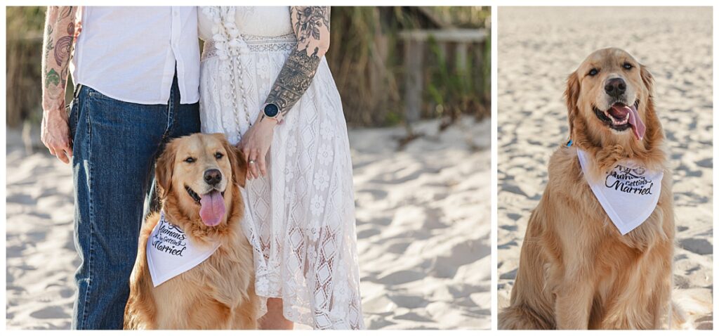 couple with their dog at their engagement session in cape may